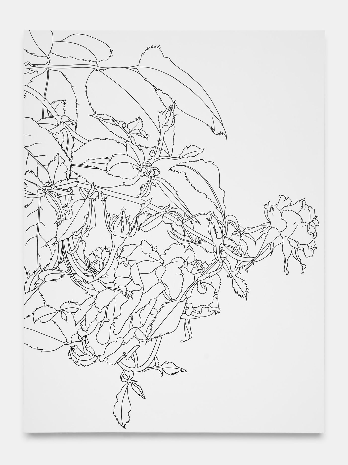 Drawings and Paintings