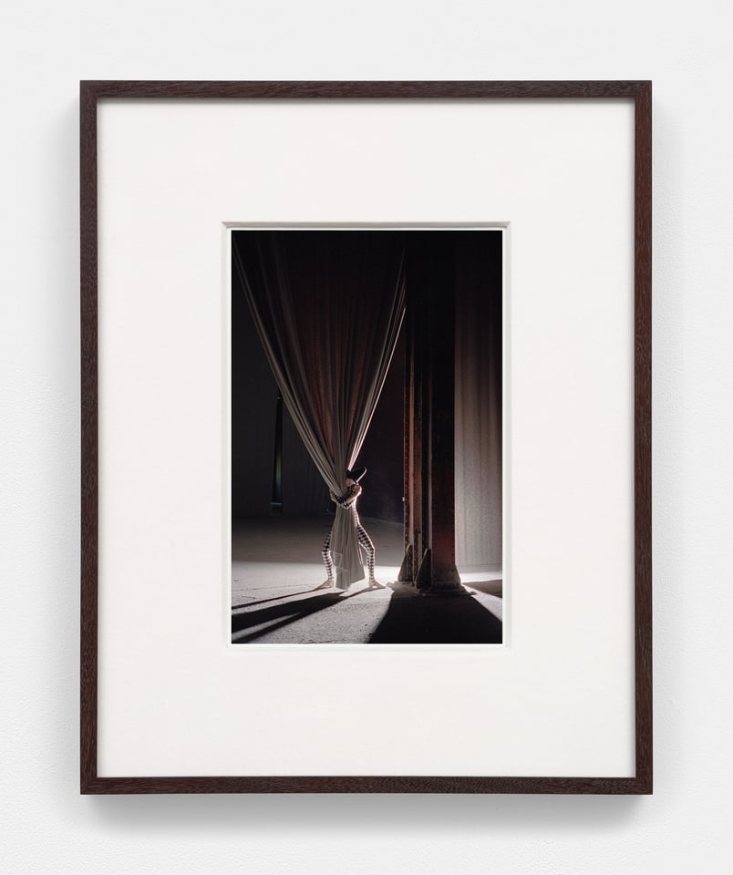 Torbjørn Rødland - Bones in the Canal and Other Photographs