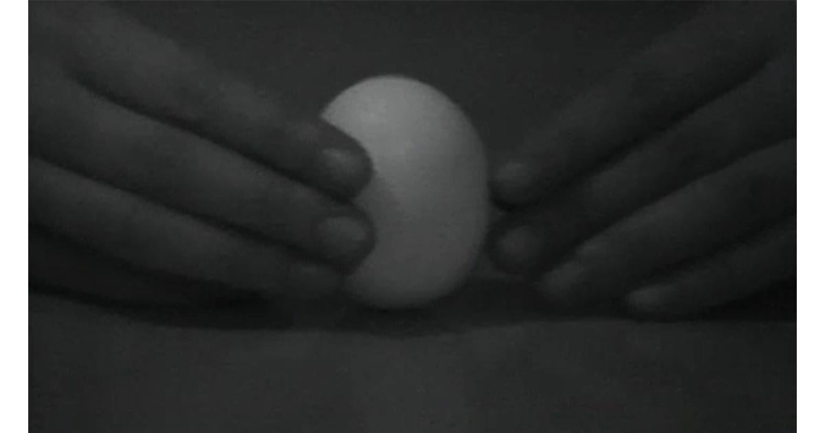 Statics of an Egg