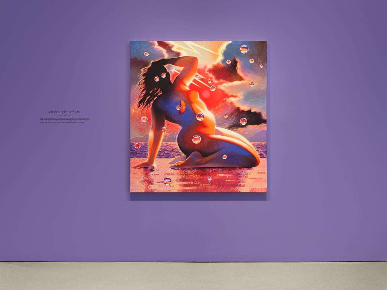 Spotlight: Robin F. Williams