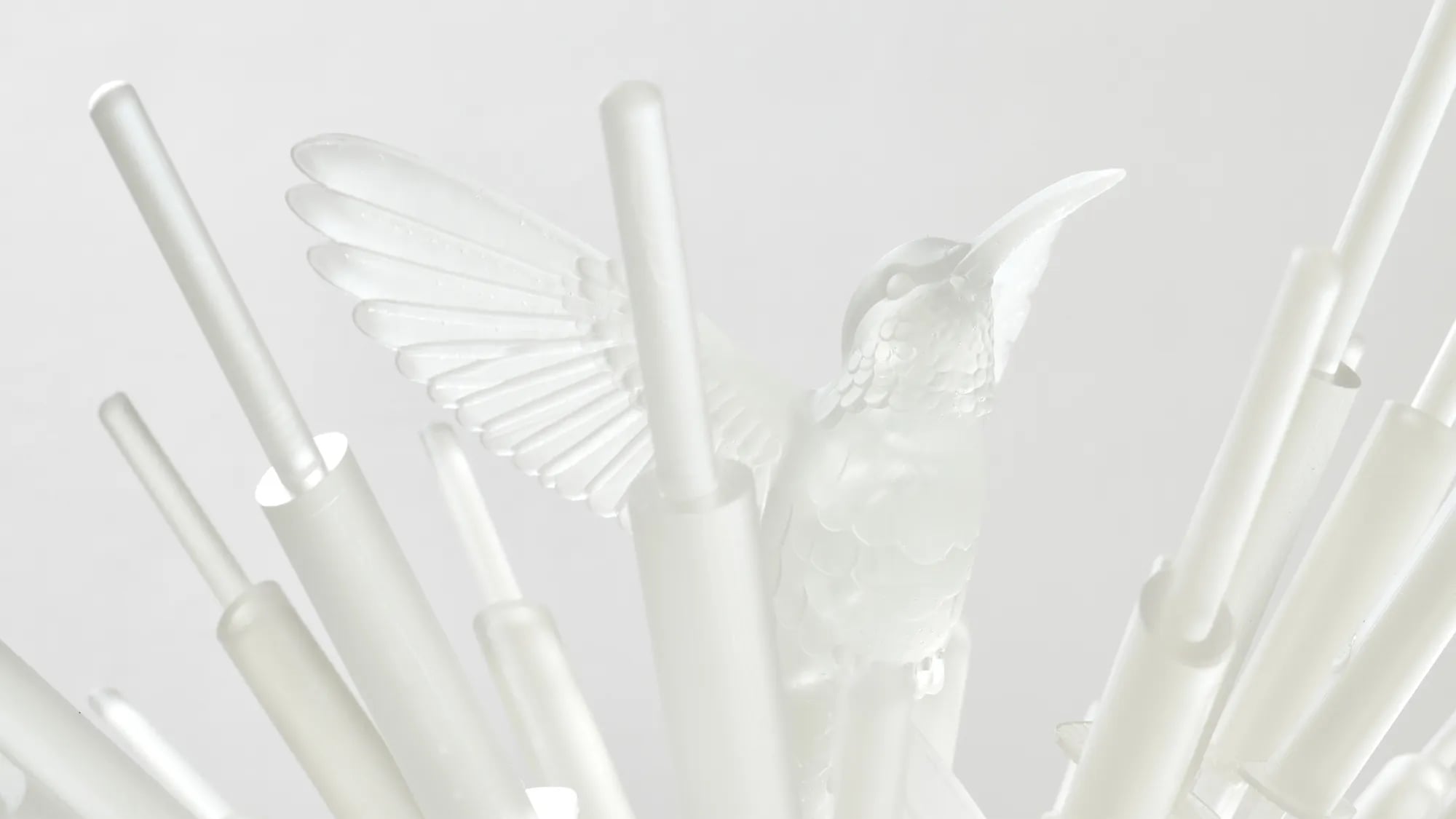 Jeffrey Meris: Assotto:ottossA