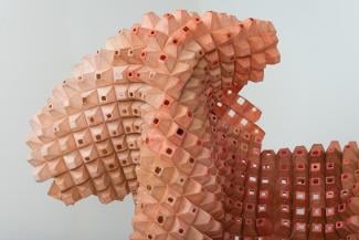 Milcah Bassel: Imaginal Cells