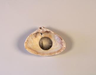 Scratch and Tear: Works by Winifred McNeill