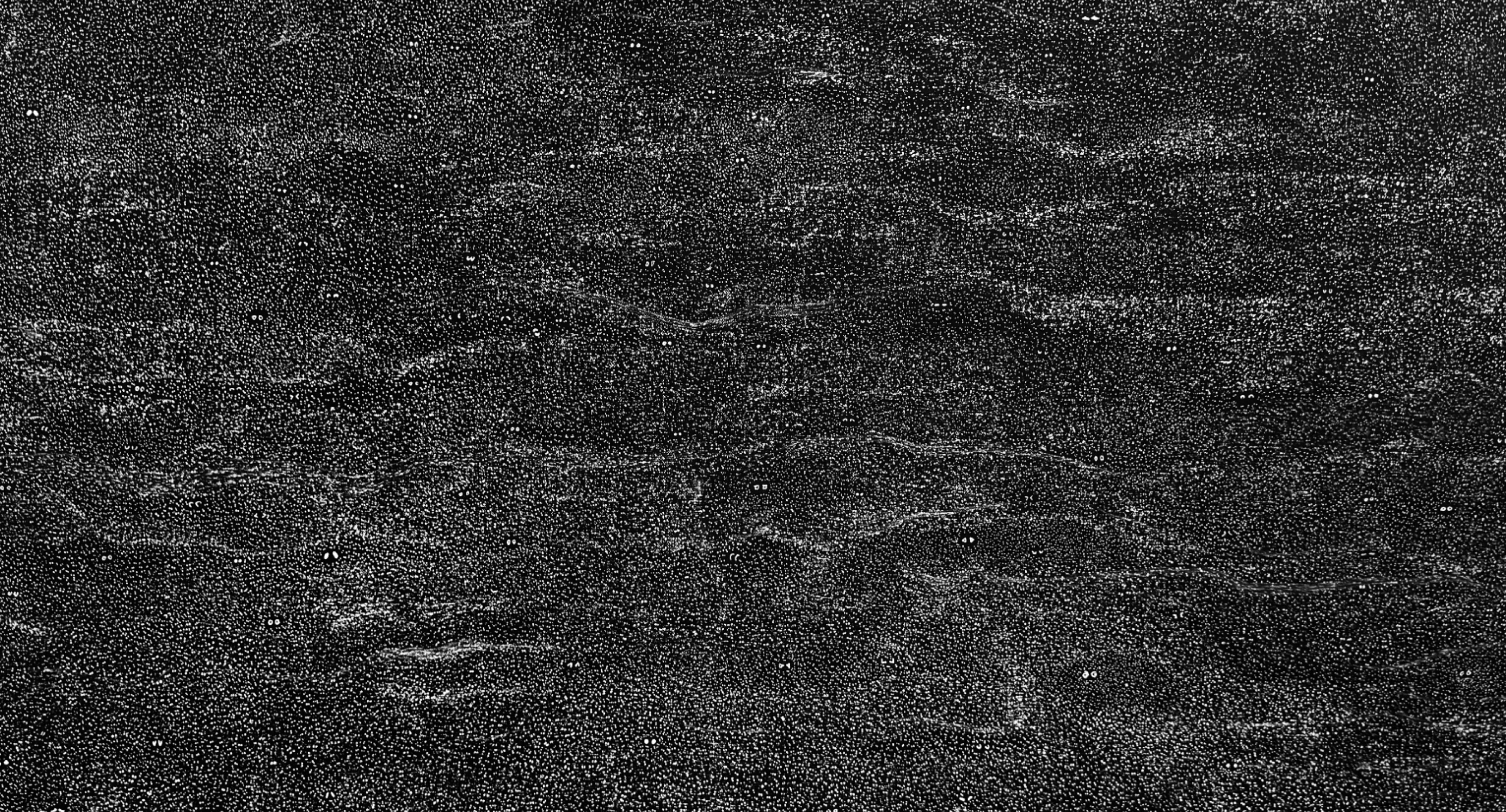 Nancy Burson - Light Matter