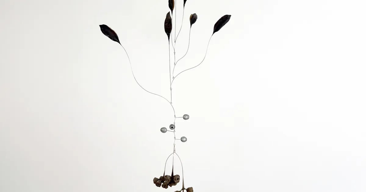 JLG Projects: Karolina Maszkiewicz - Tending the Wild