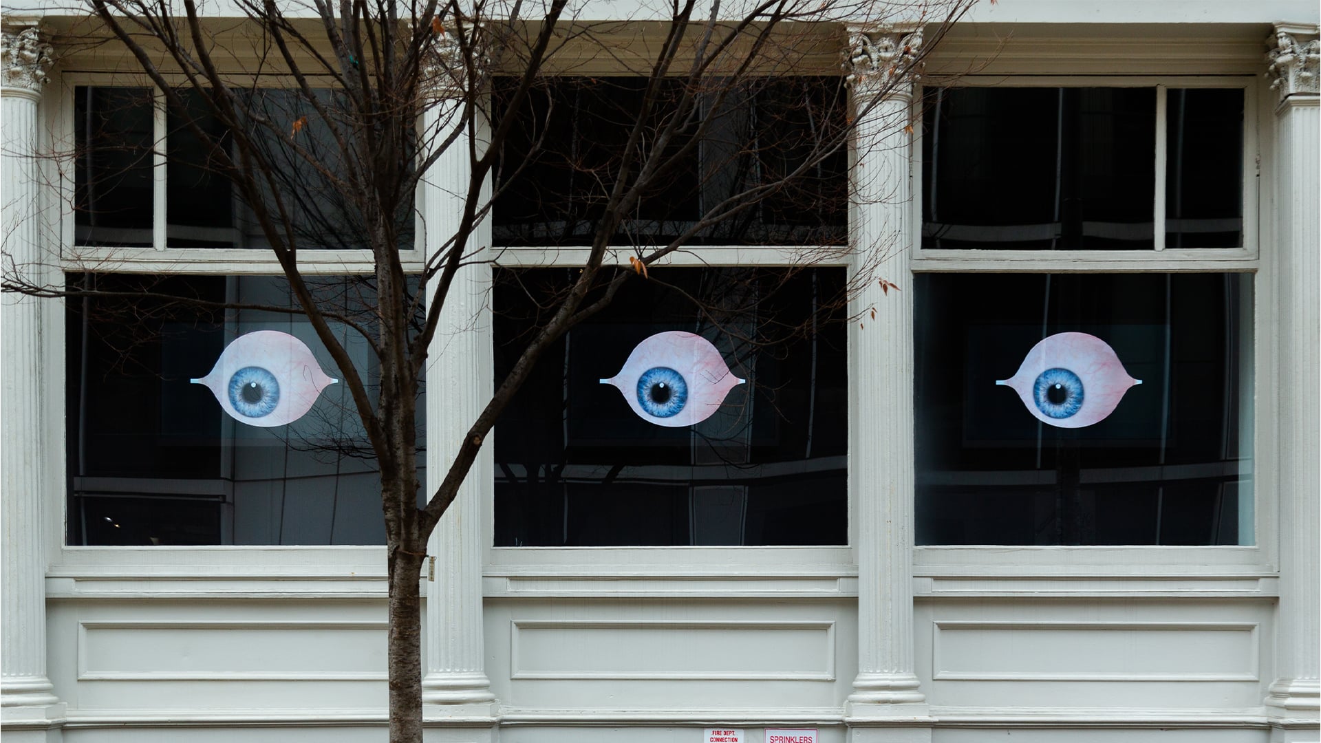 Hortensia Mi Kafchin: Through Different Eyes