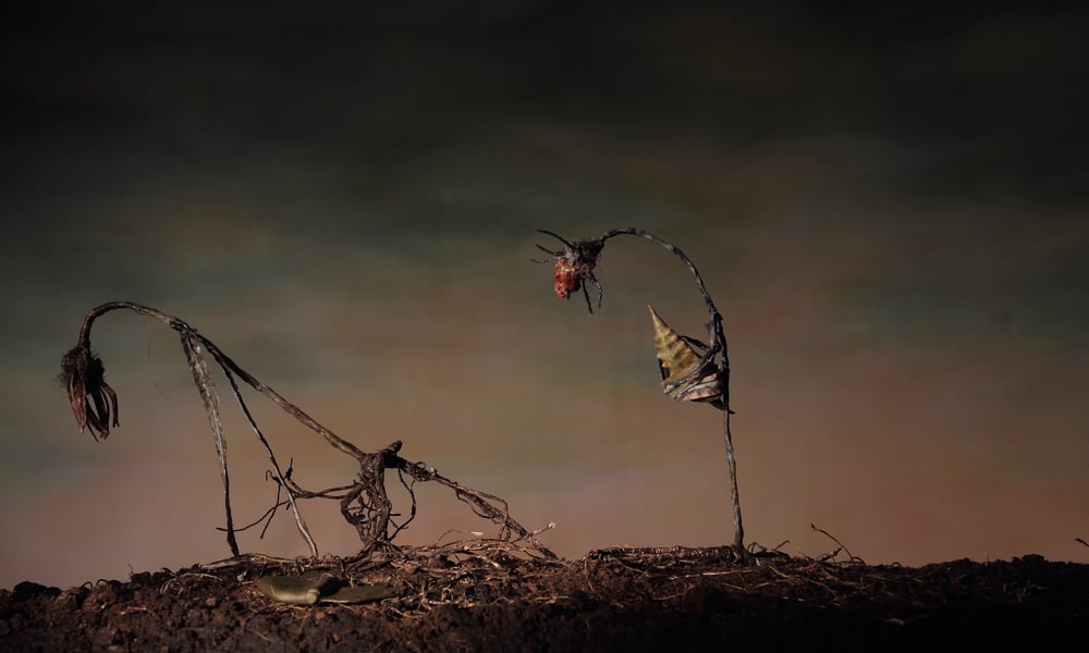 In a Free State - Curated by Salman Toor and Doron Langberg