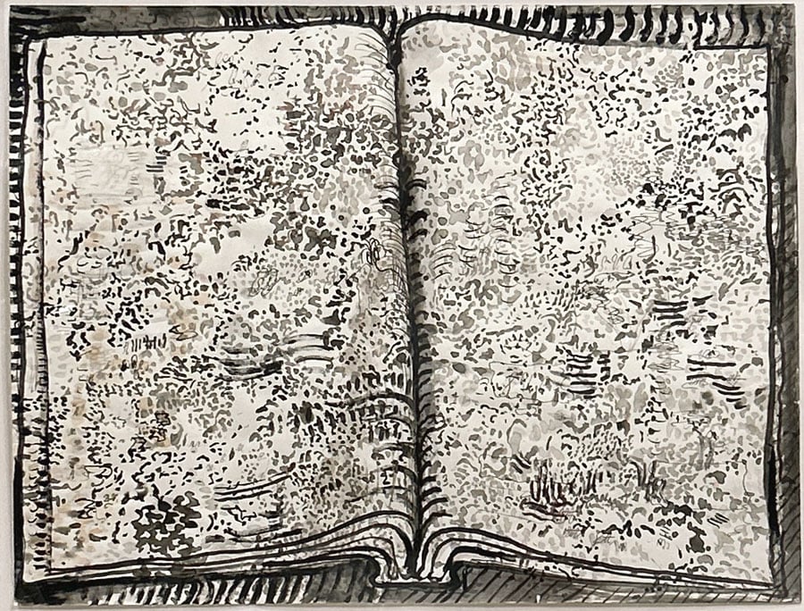 Open Book(s): Observations