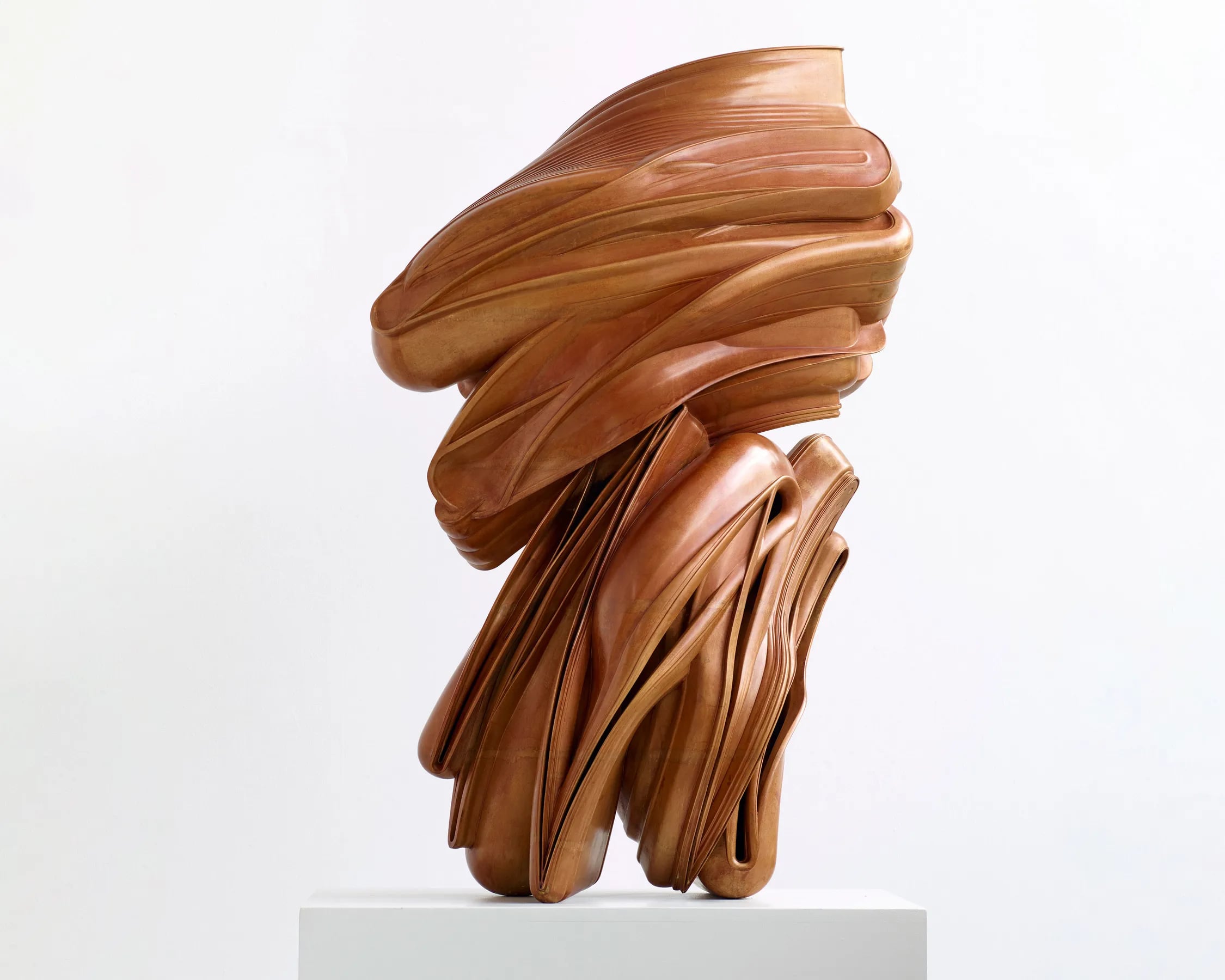Tony Cragg
