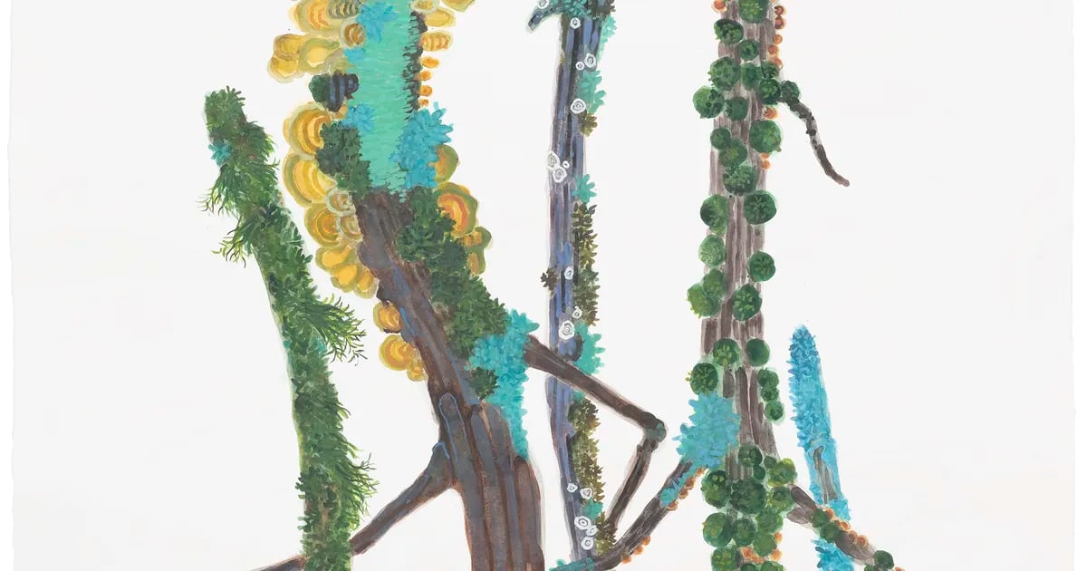 Katie DeGroot: The Arboreal Life