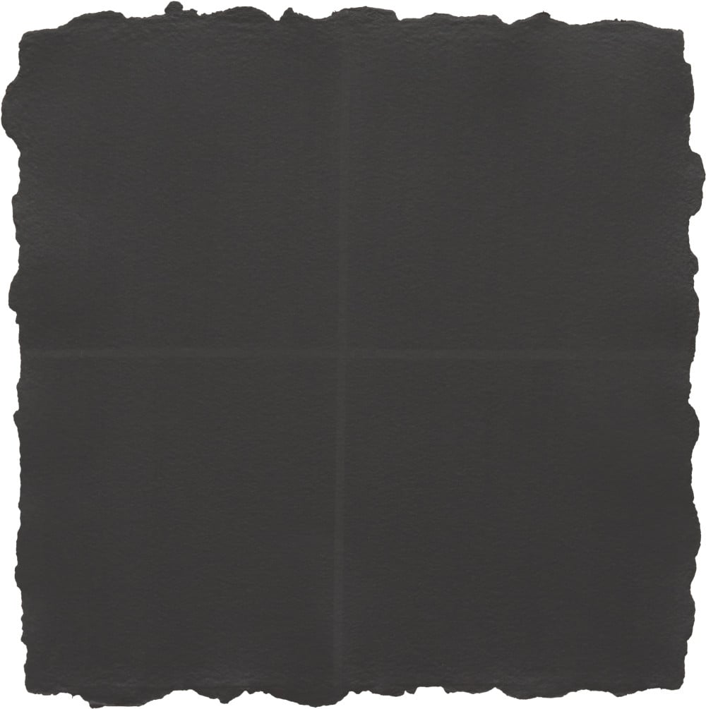 ANNE TRUITT Waterleaf