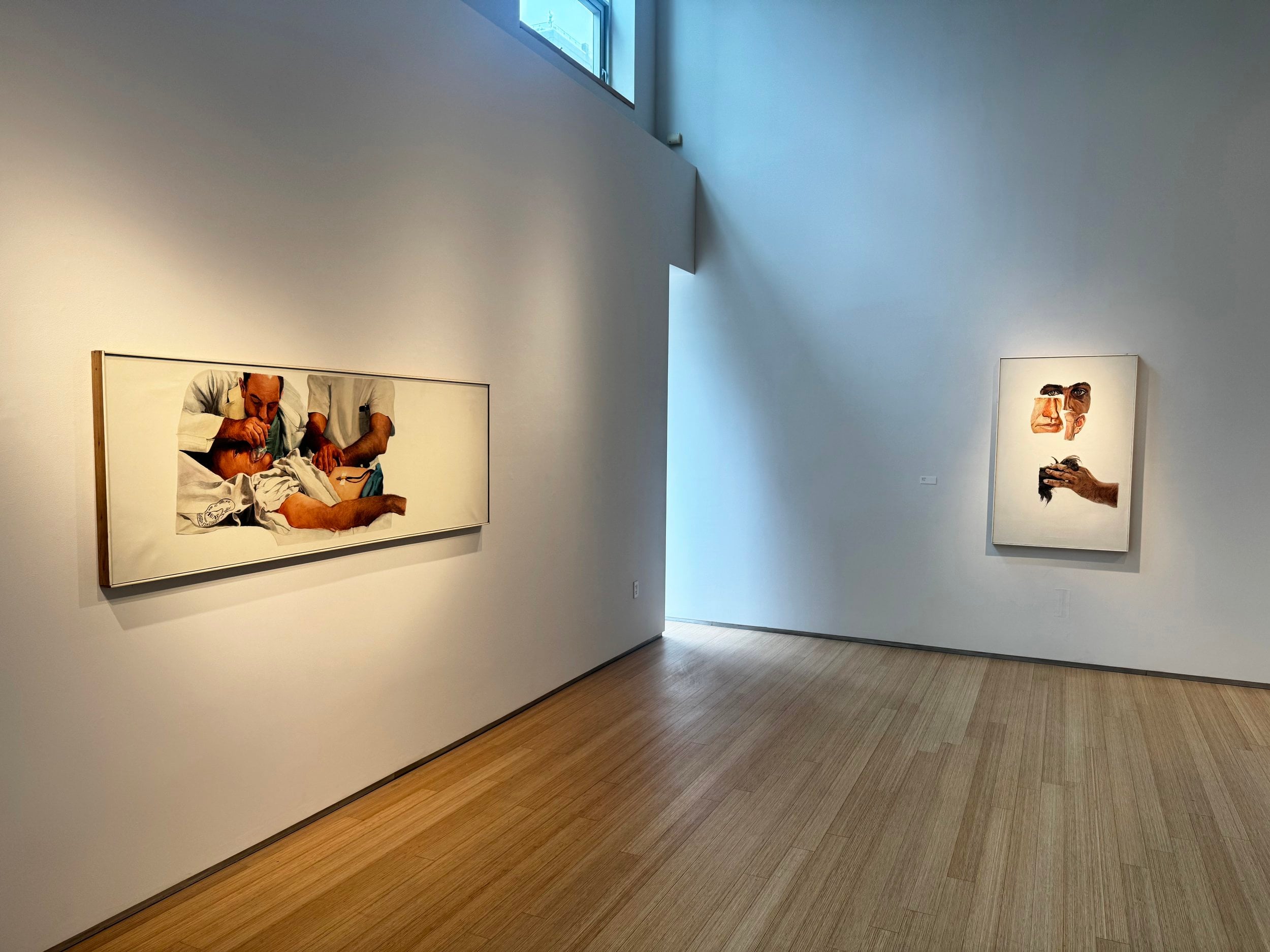 Joseph Raffael: White Ground Paintings