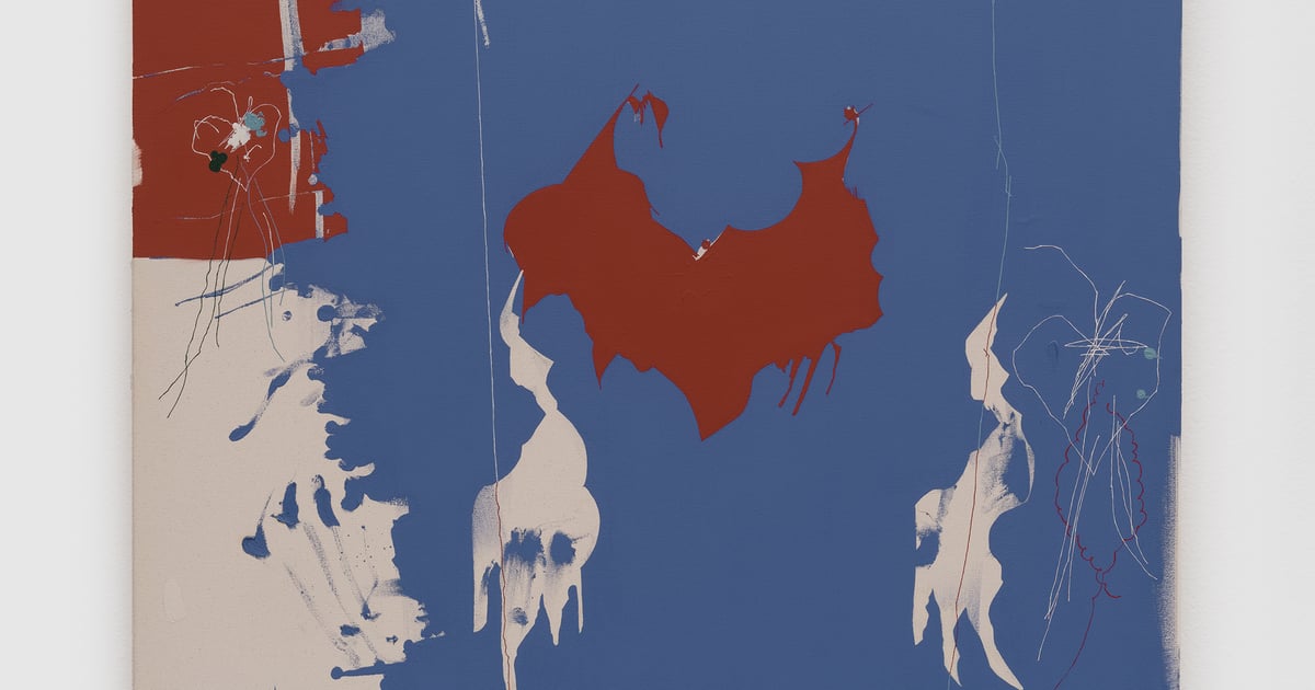 Maysha Mohamedi: Maysha the Fool