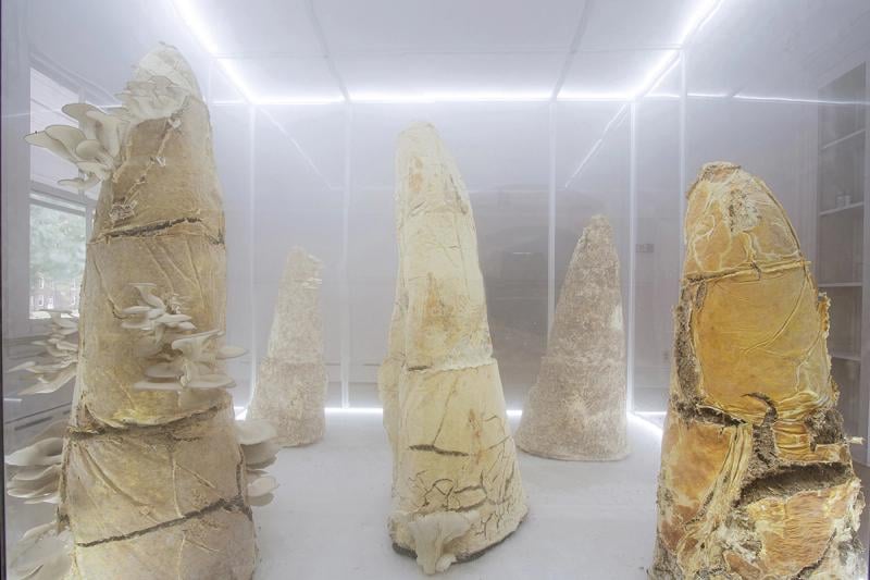 Jemila MacEwan: Dead Gods