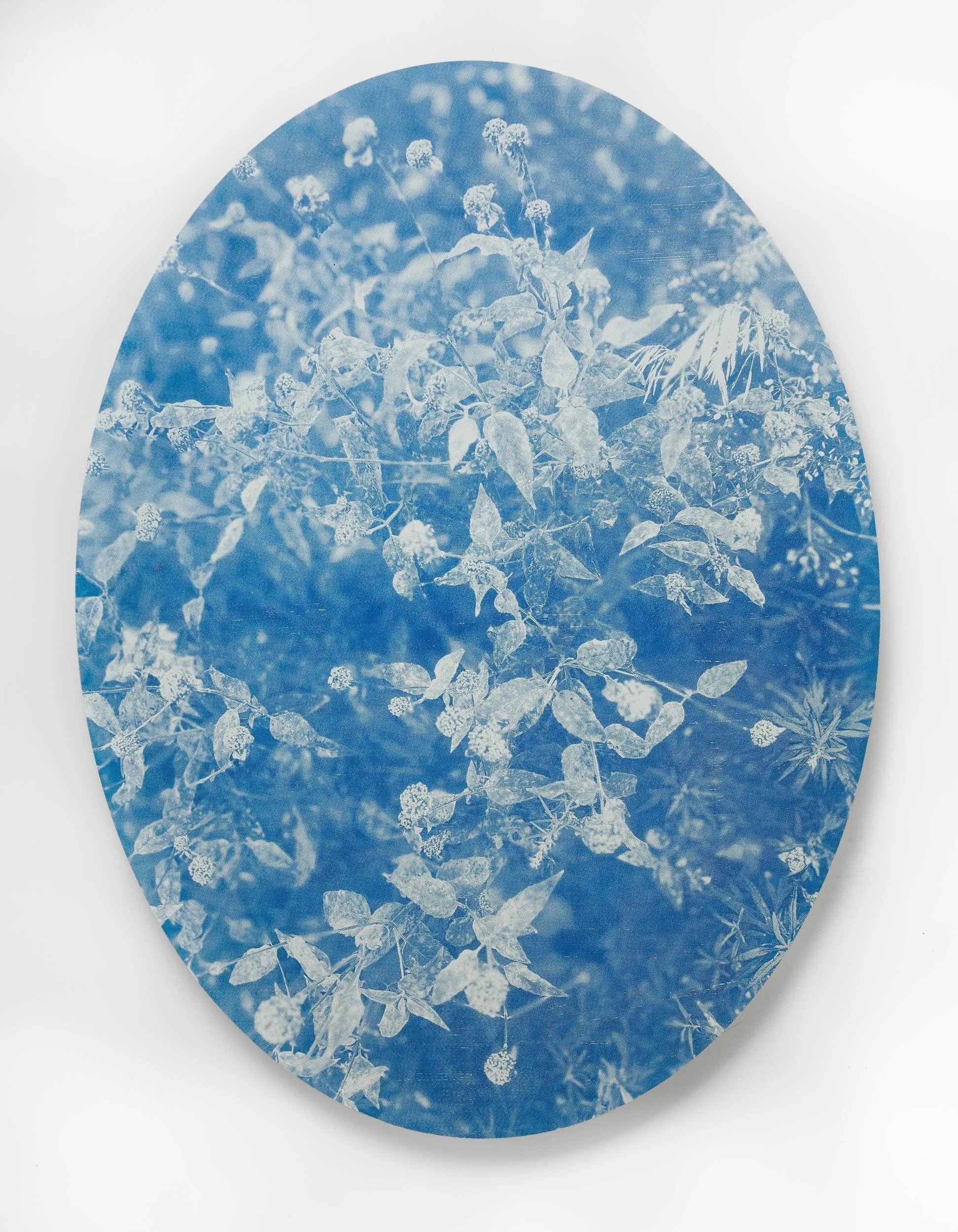 Eve Biddle | Stay With Me