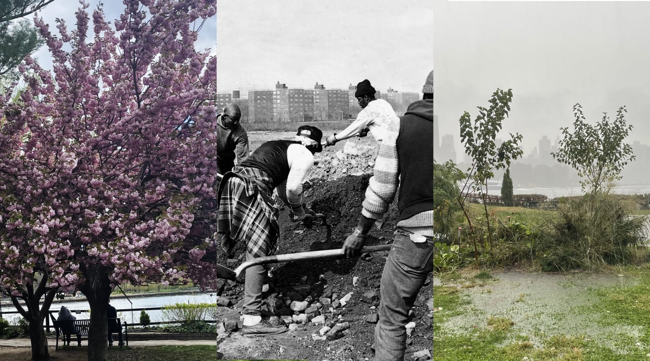 Ecologies of Care