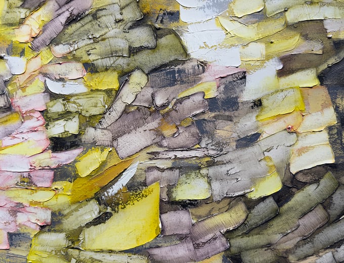 Judith Murray: Pure Pleasure