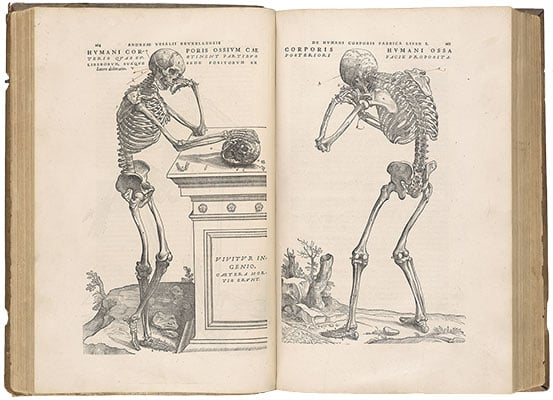 Collections Spotlight, Spring 2026