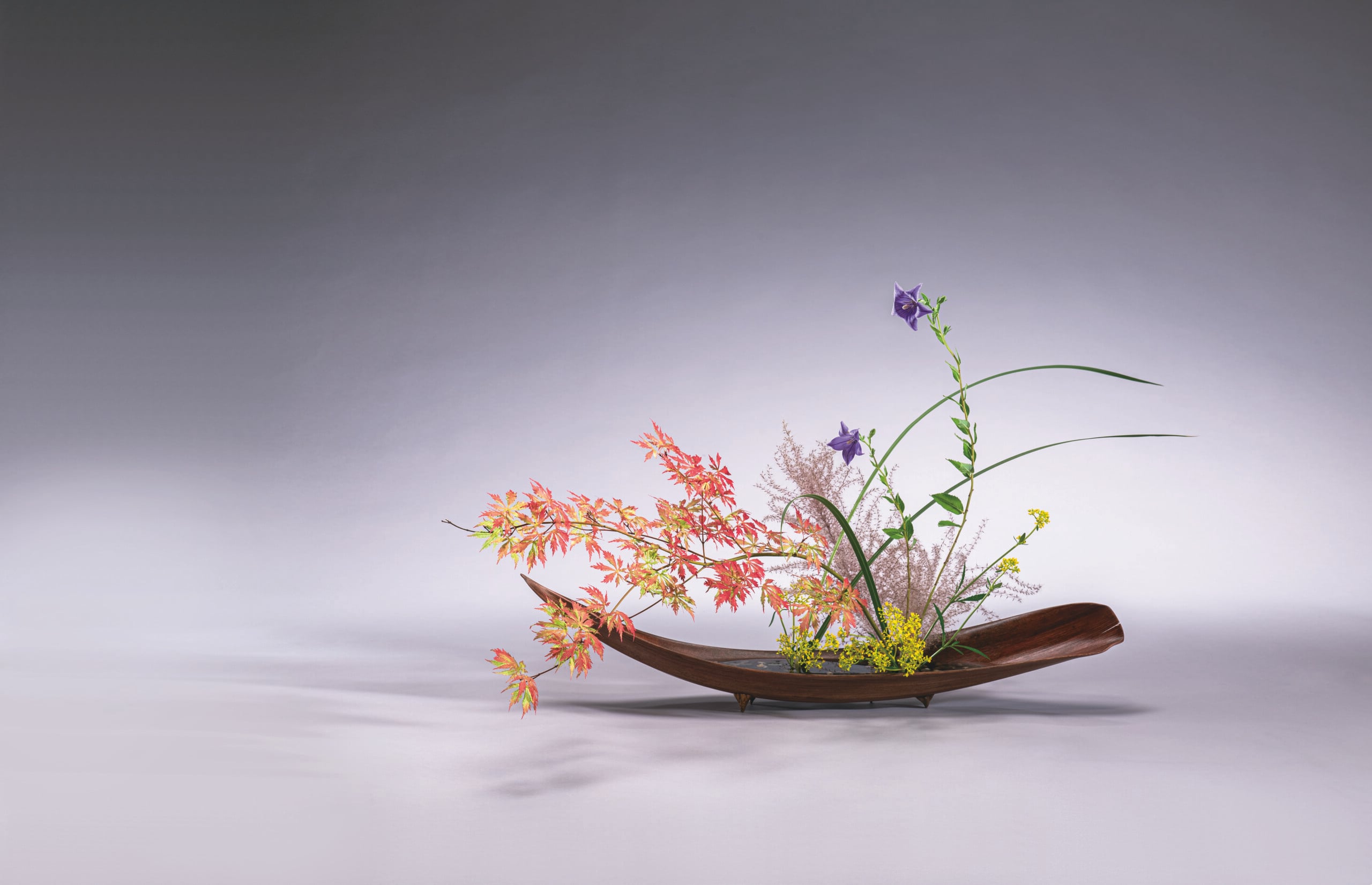 Noguchi Museum × Ikenobo: 40 Years in New York — A Living Tradition of Flowers and Space