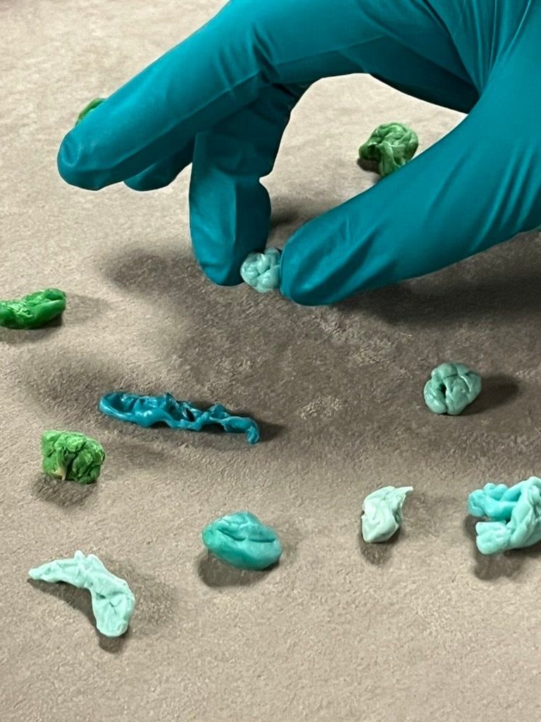 Catalina Tuca: Body Omens