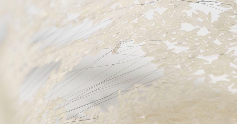 Doris Salcedo