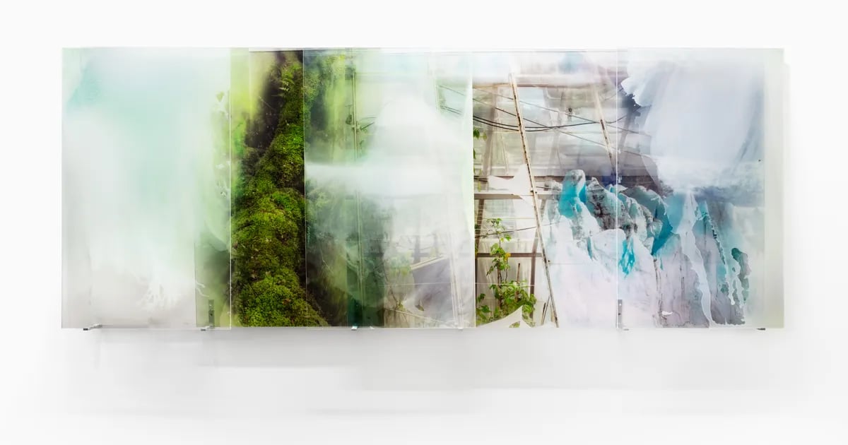 Janet Laurence : Once Were Forests