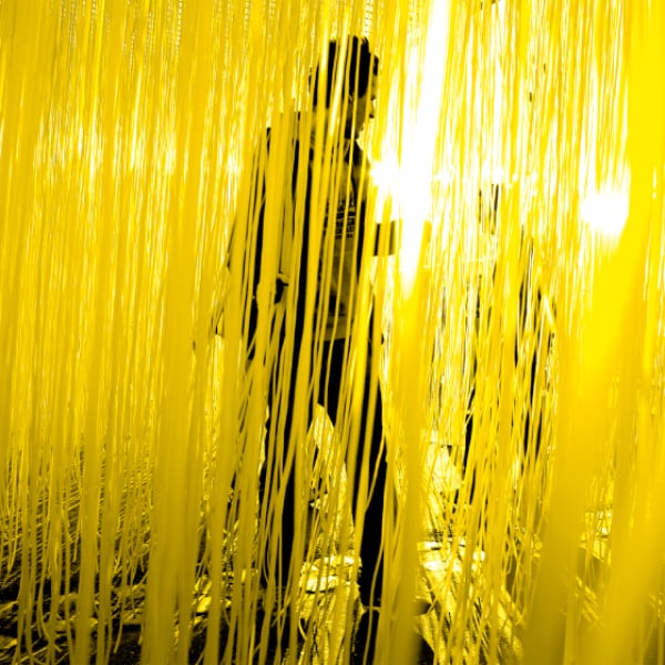 Soto : a kinetic journey