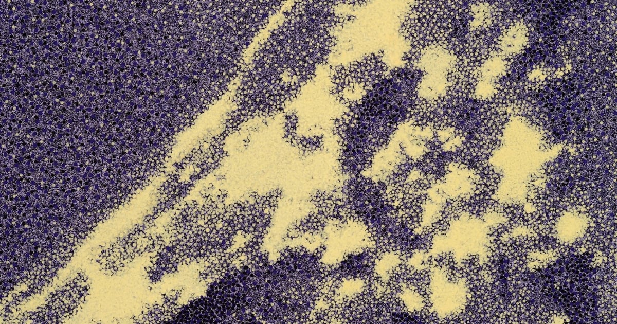 Easy Assembly Tauba Auerbach