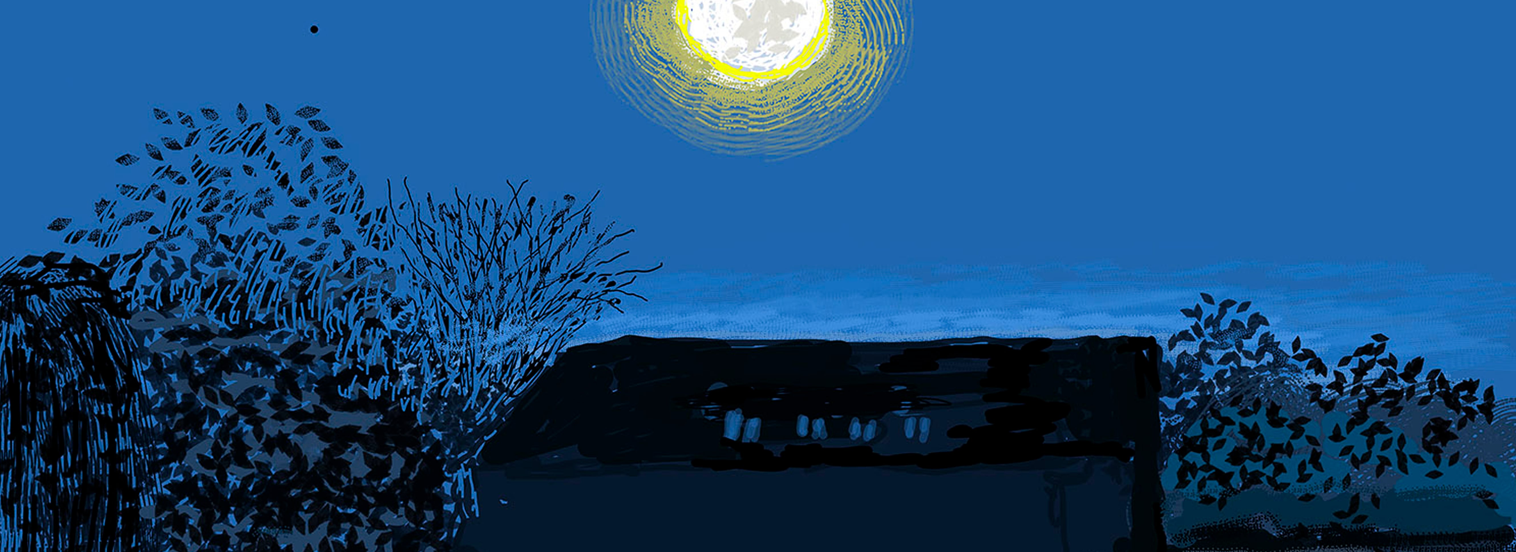 David Hockney The Moon Room