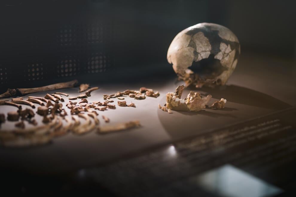 Gestes d’Éternité