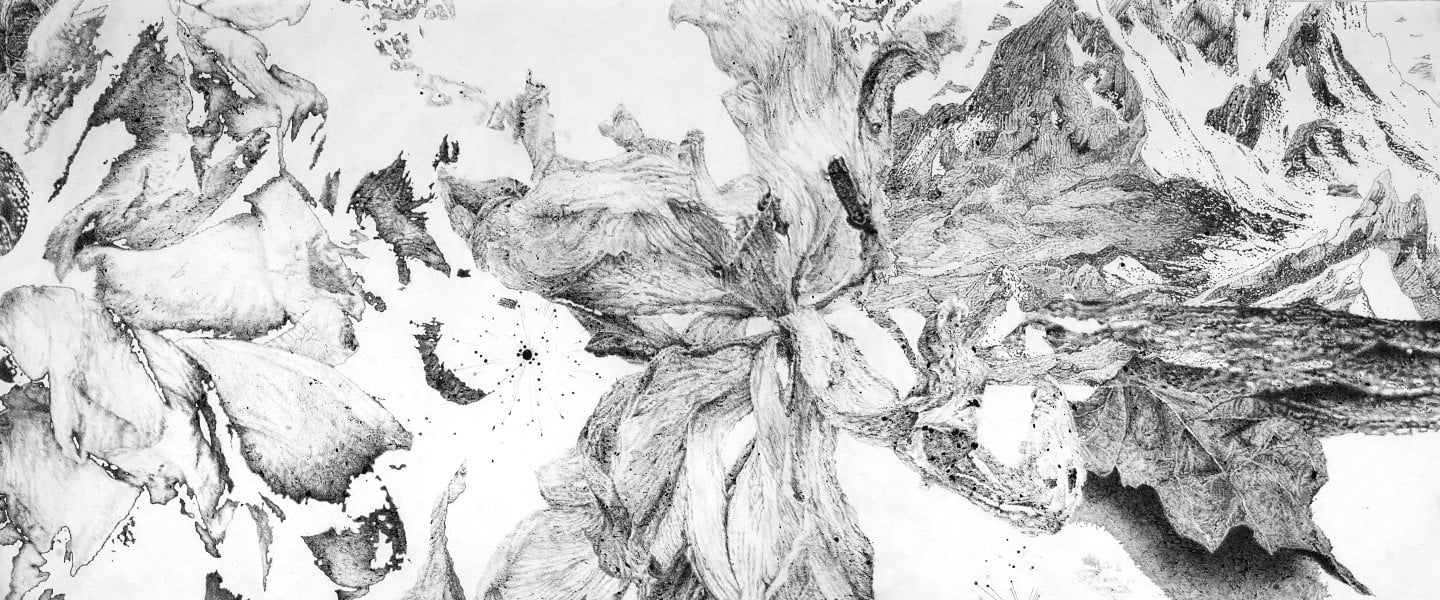 “Sutures” - Encres et fusains de Sandra Ghosn