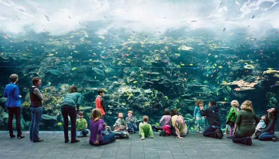 CHANEL Photography Chair - Thomas Struth's Masterclass