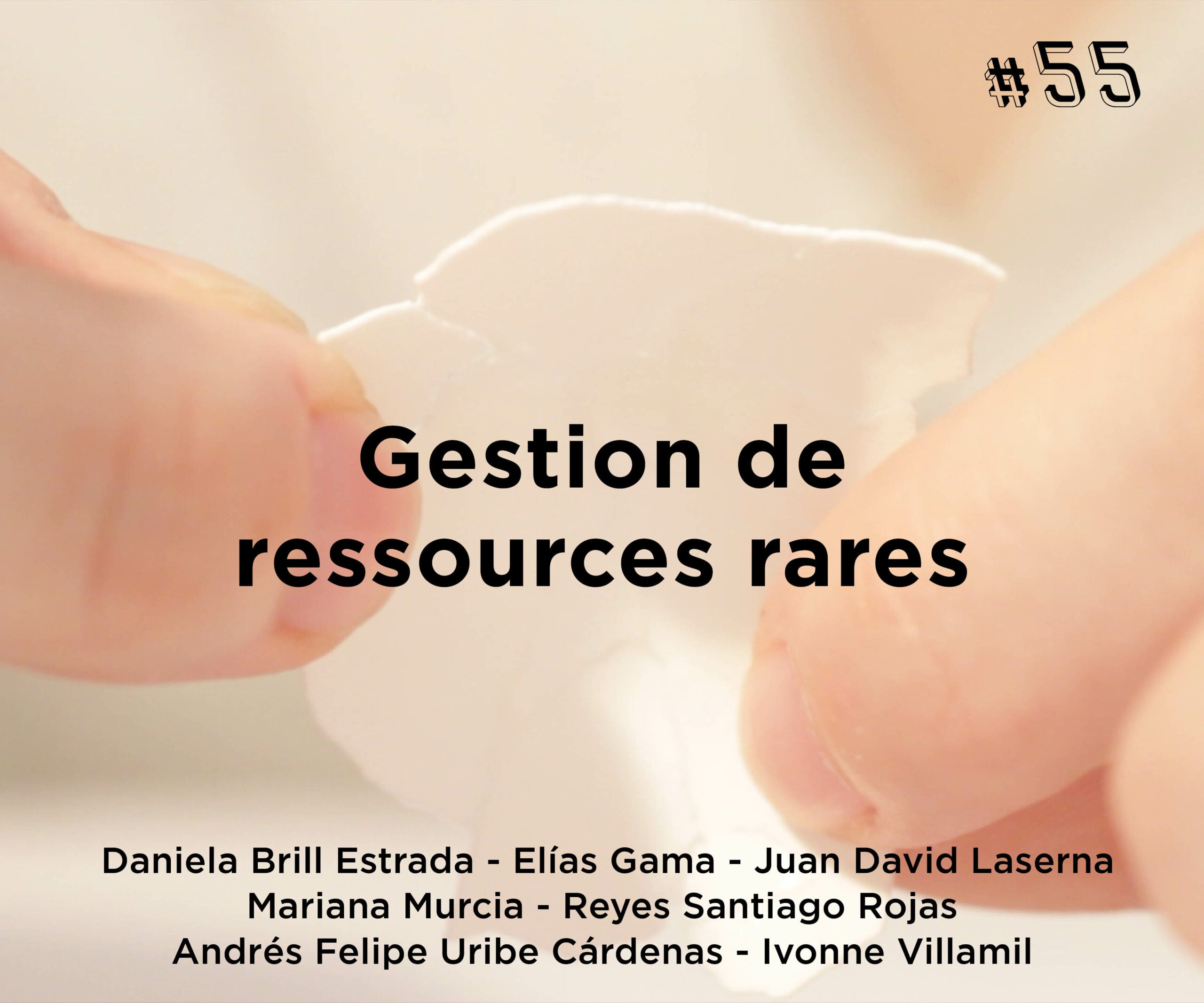 Assemblage #55 Gestion de ressources rares