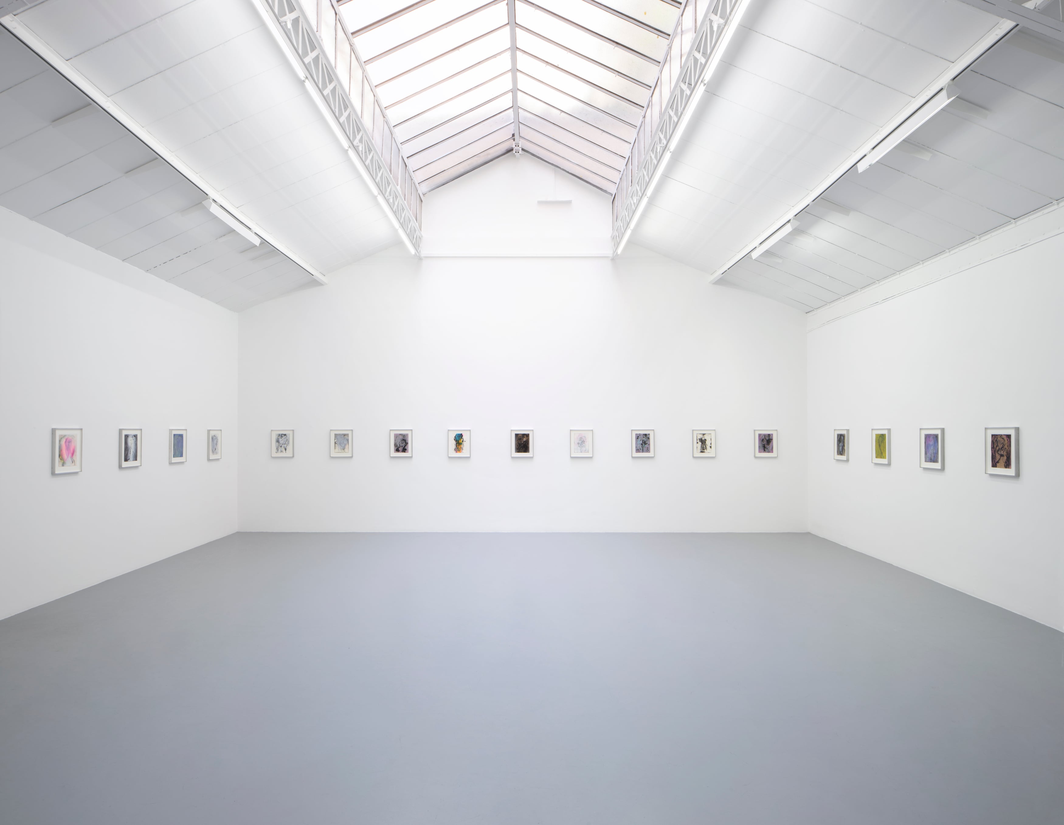 Cameron Jamie - Immaterial Figures and Forces