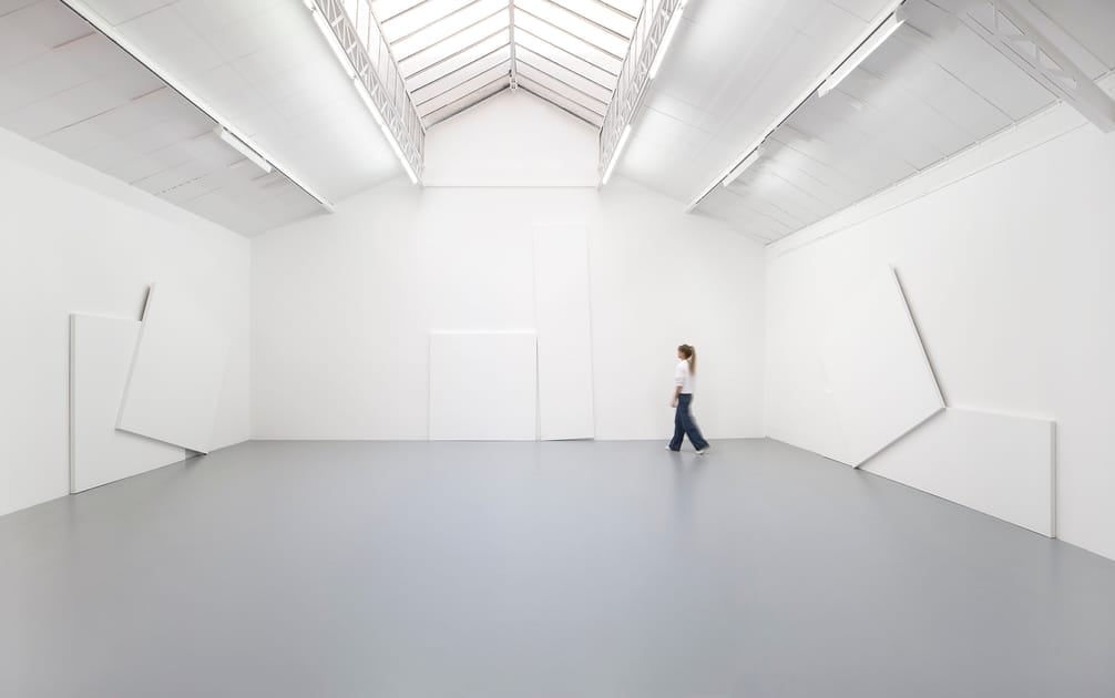 François Morellet - Géométrie dans les spasmes