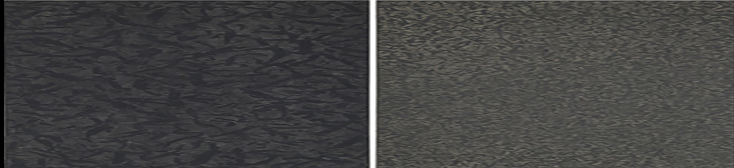 Donation Max Wechsler