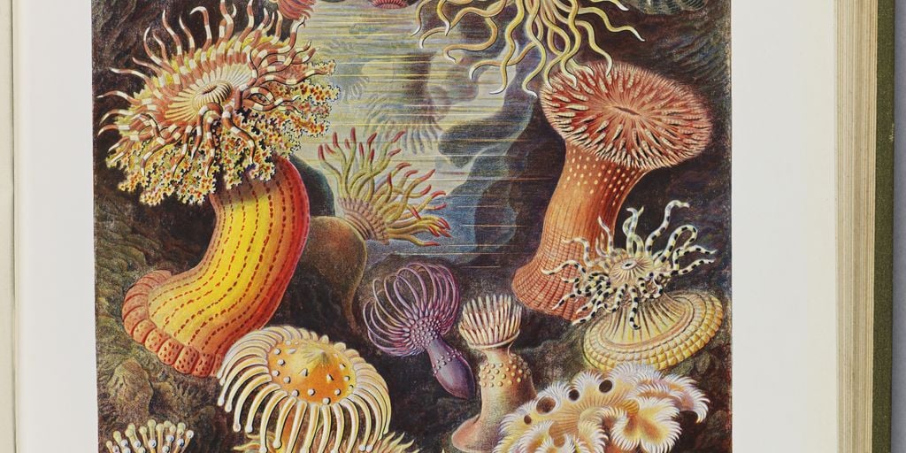 L'appel des profondeurs. L'aventure sous les mers de l'Antiquité à nos jours