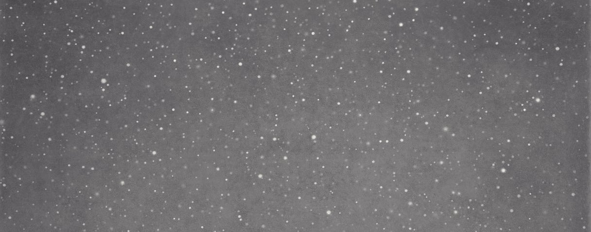 Vija Celmins