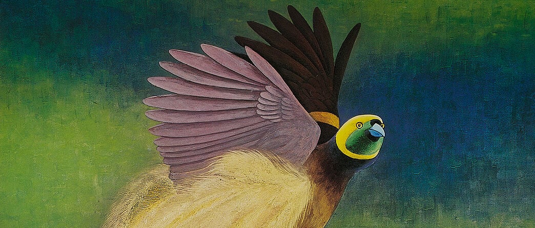 Plumes from Paradise Journeys of an Extraordinary Bird from New Guinea