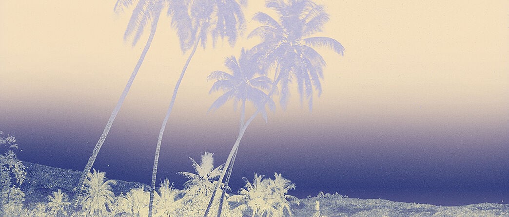 Seeing Tahiti - The First Photographs, 1859–1870