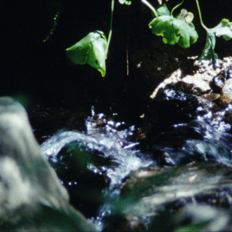 LA SOURCE DE LA LOIRE ET AUTRES FILMS
