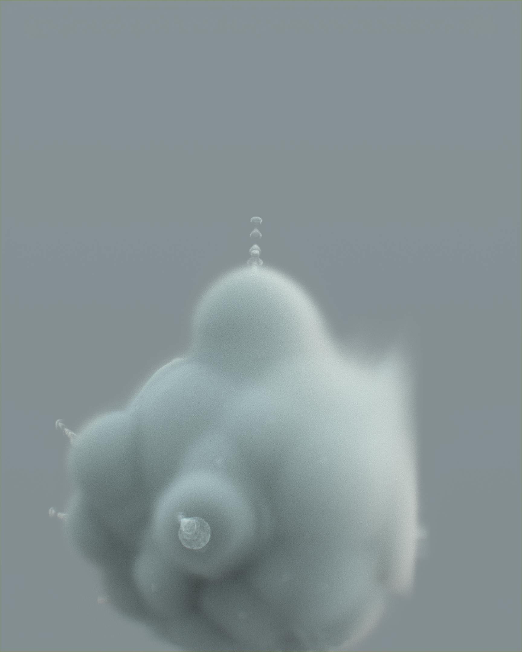 Jessica Wilson The Attic