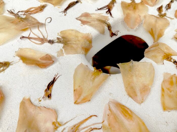 Patty Chang: surfacing