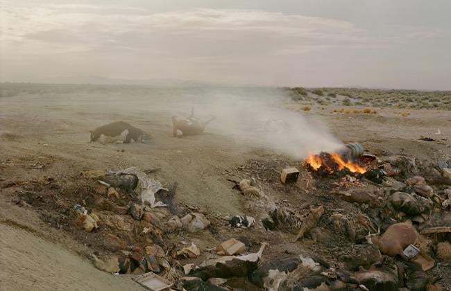 Teaching Gallery / Artists on Colonization, Nuclear Legacies, and Climate Crisis