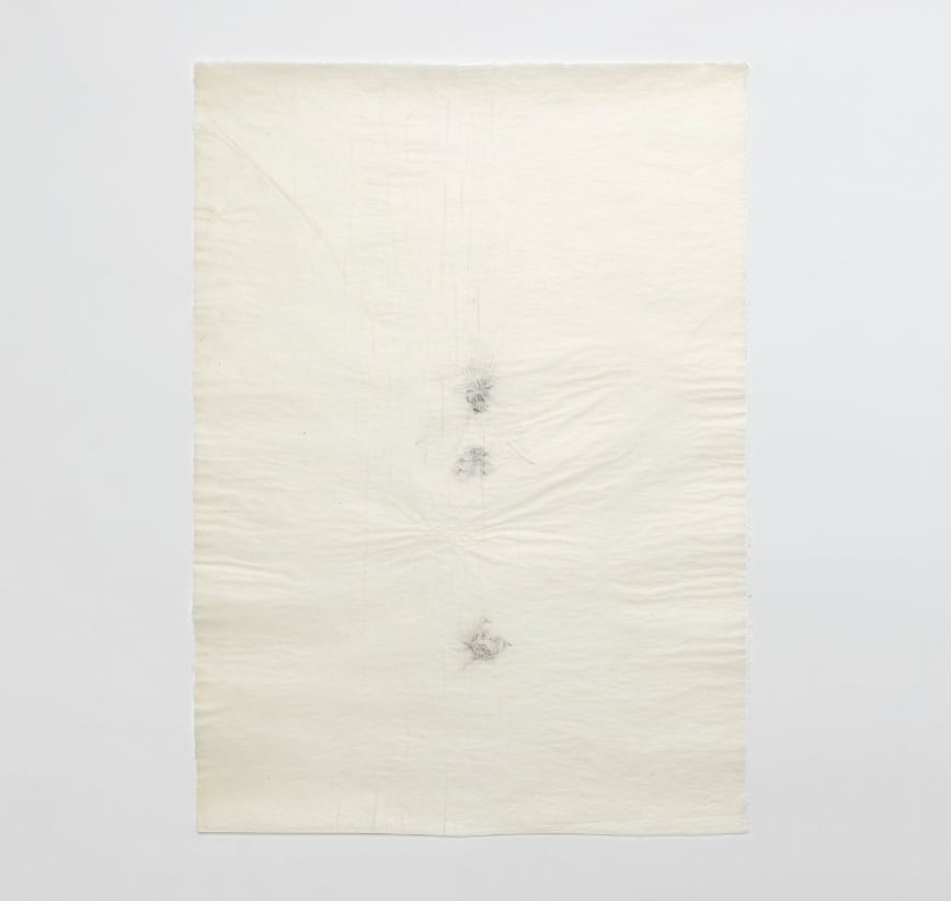 Amanda Gracia Blanco - 10,000 is 1(0,000) 0 = space