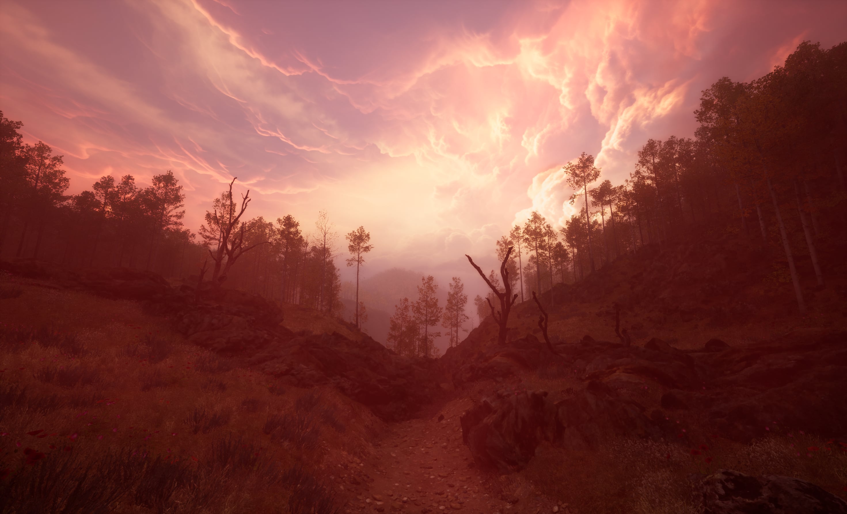 Animal, Vegetable, nor Mineral: Works by Miljohn Ruperto