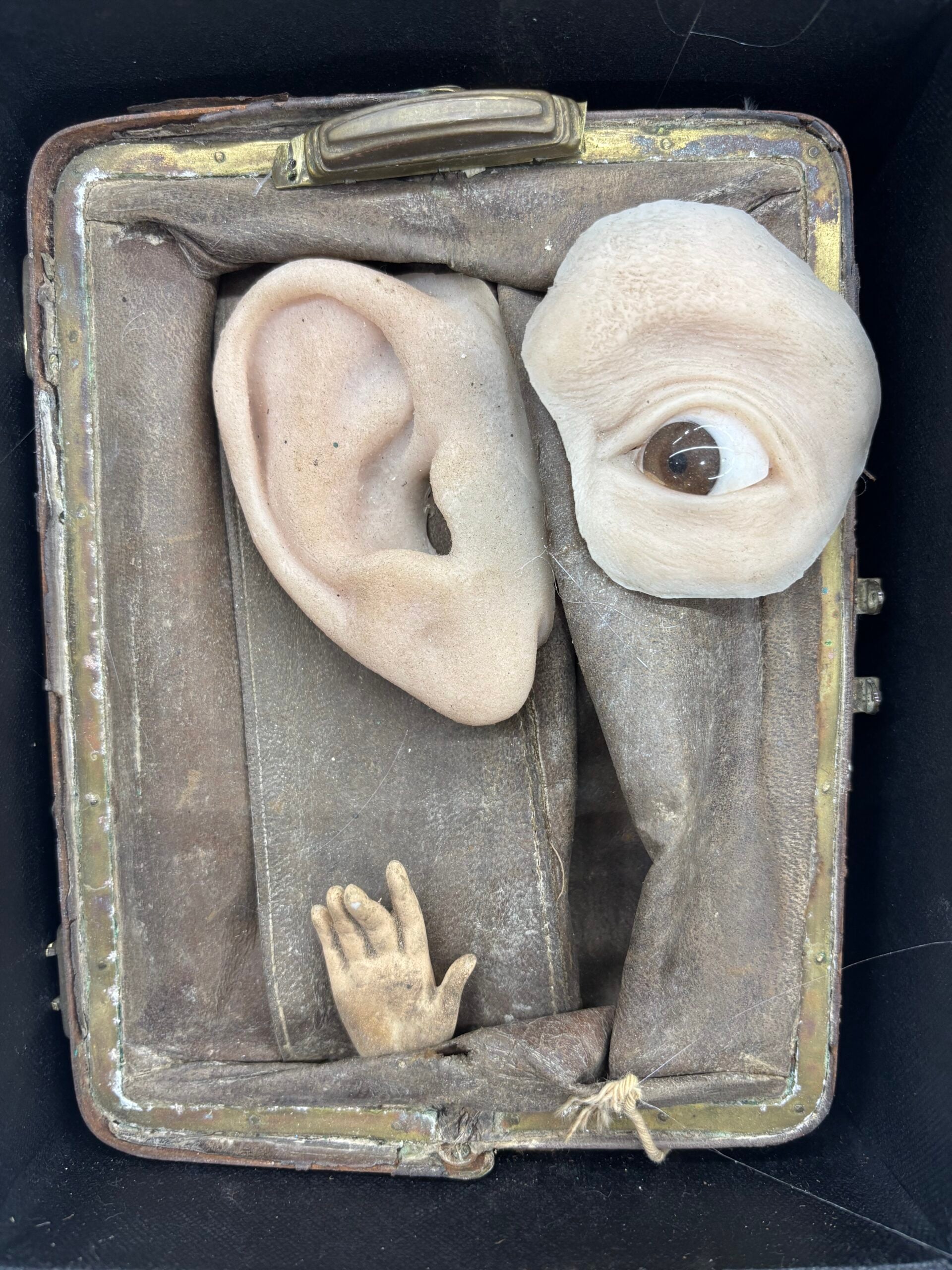 David Best: Eyes and Ears
