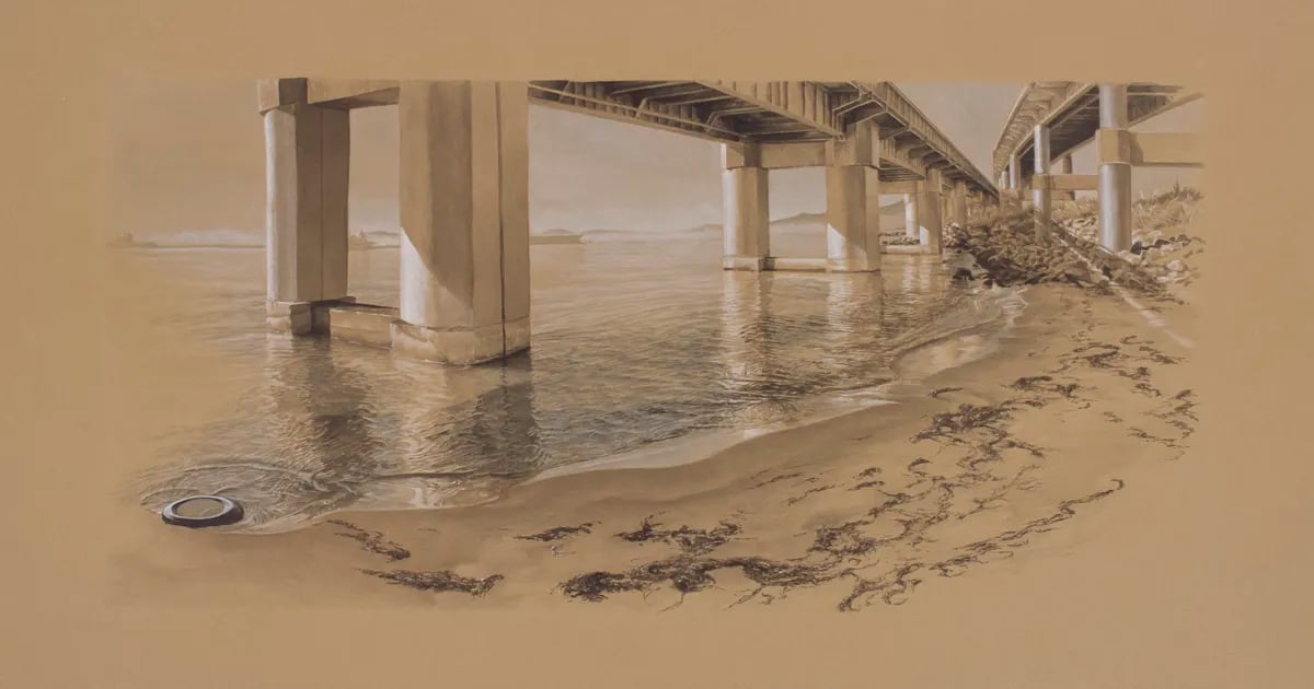 Sarah M. Newton: Interruptions in the Bay Trail