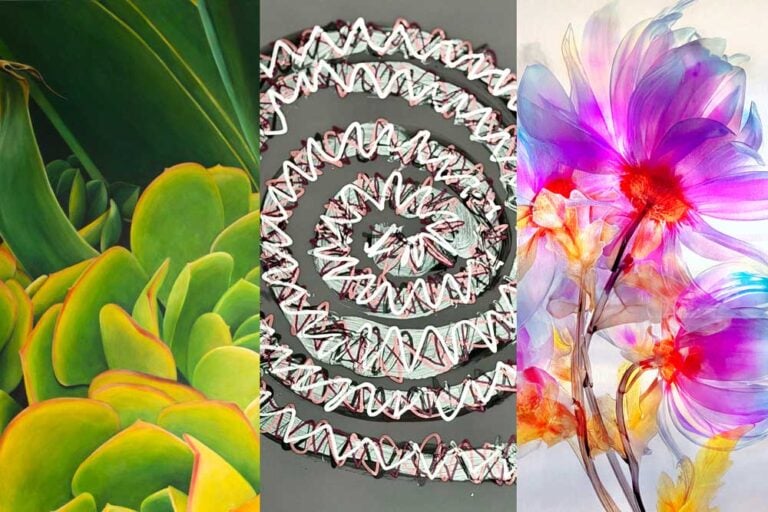 Andrea Brewster, Tara Esperanza, Elizabeth Sher – Succulents, Spirals, Blooms