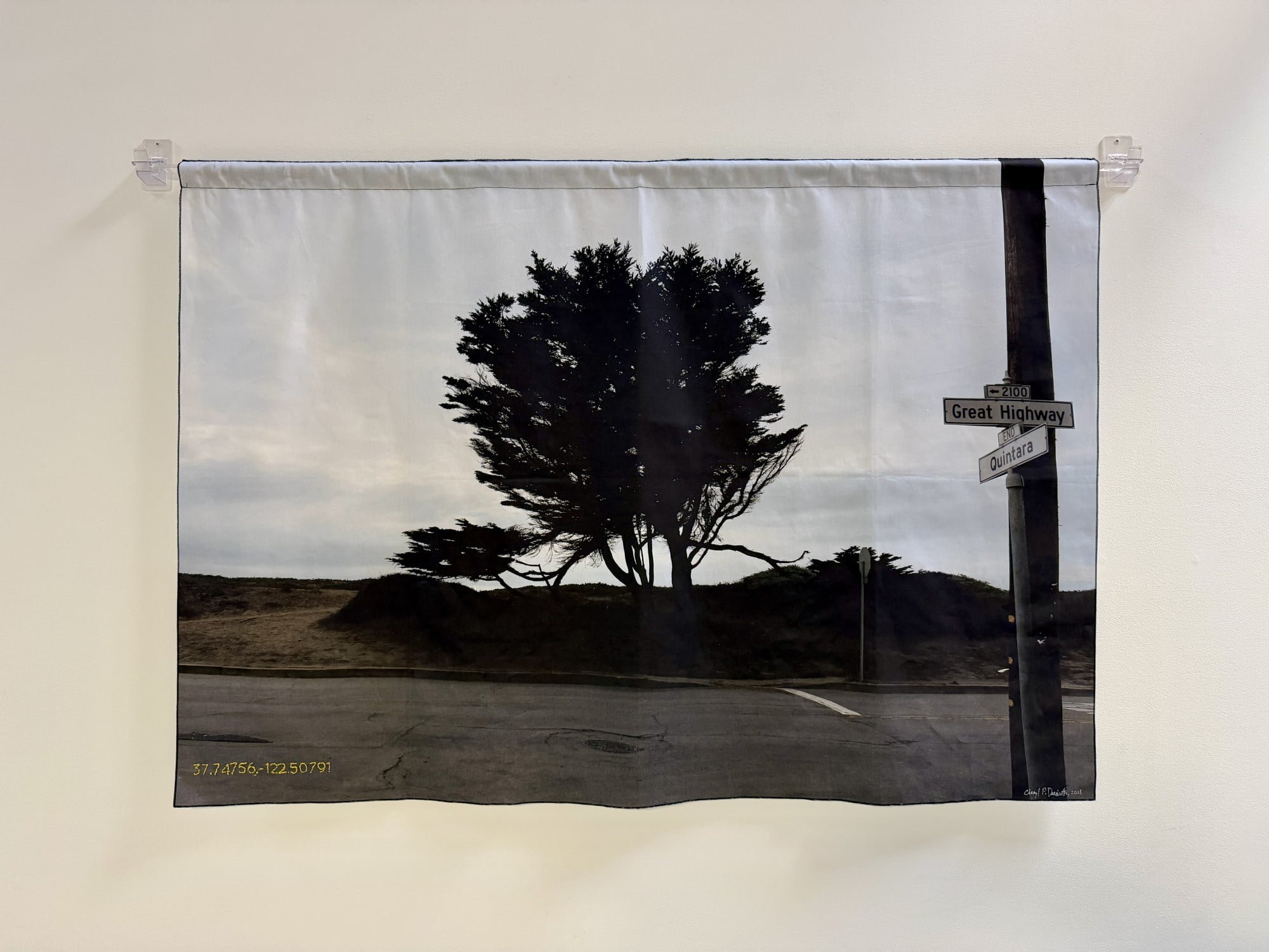 Cheryl Derricotte: A Consideration of Trees